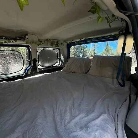 Campervans * El Médano