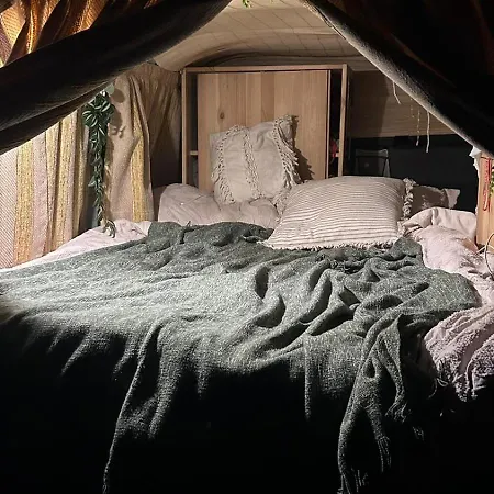 Campervans Campsite *