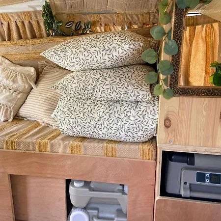 Campervans 营地 *